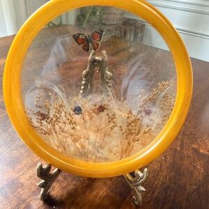 Vintage BUTTERFLY DRY FLOWERS PLANT CELLULOID  Round VANITY TRAY